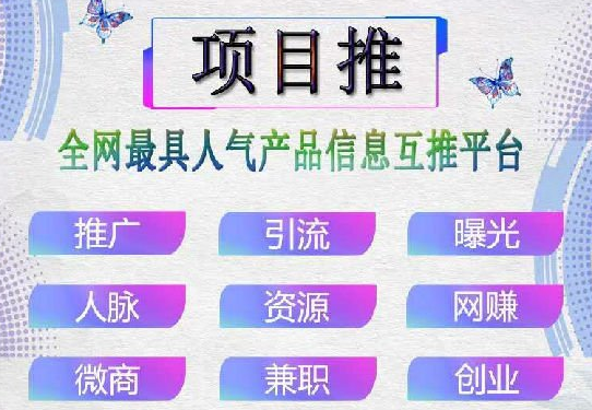 项目推app