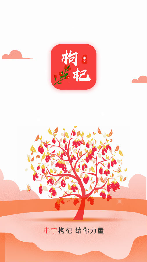 枸杞掌中宝