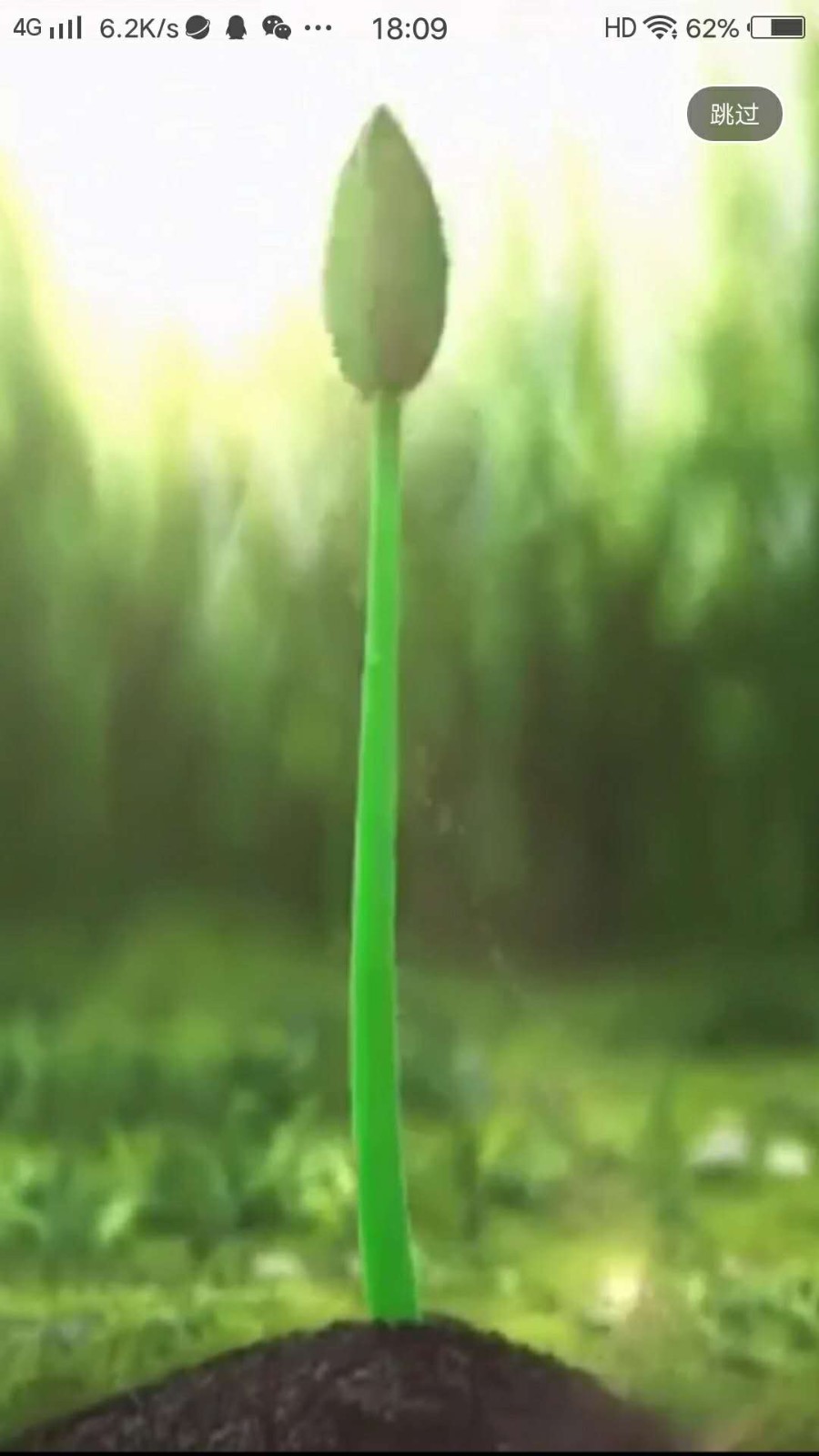 萌芽直播最新版本下载_萌芽直播安卓App