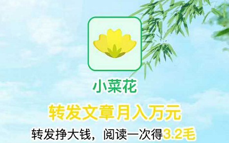 小菜花