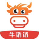 牛销销下载最新版本2025