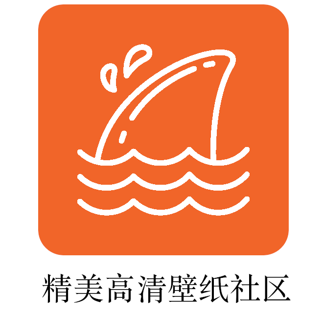 飞鲨壁纸免费版下载_飞