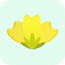 小菜花转安卓版下载安装