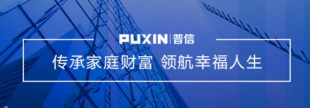 普信金服