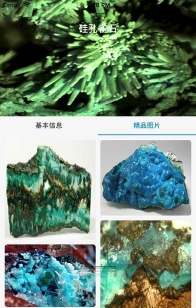 矿石之家官方免费下载_矿石之家最新版本