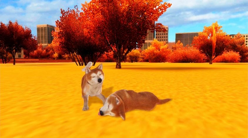 Akita Dog Simulator(秋田犬模拟器)下载免费2025新版_Akita Dog Simulator(秋田犬模拟器)游戏下载