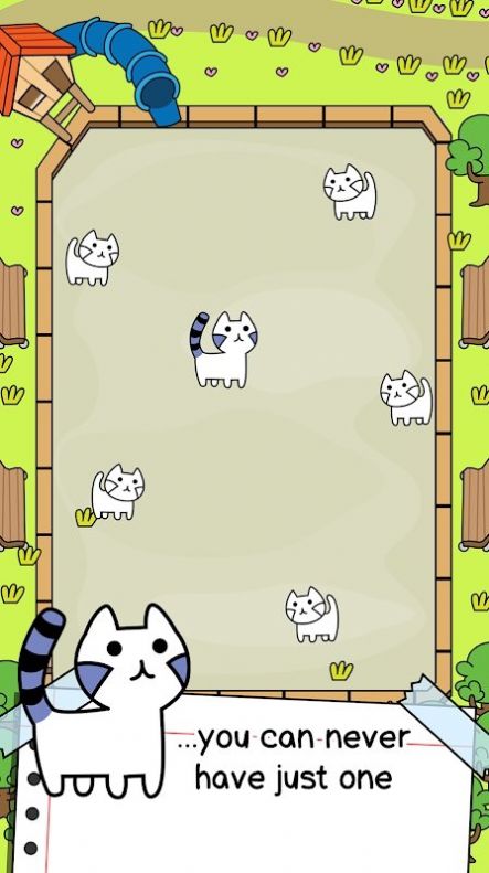 猫咪进化疯狂合并安卓App下载_猫咪进化疯狂合并手机客户端