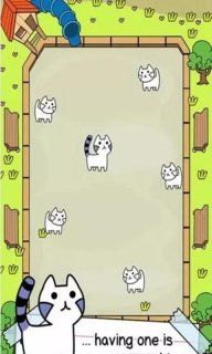Cat Evolution(猫咪进化)免费版游戏下载安装_Cat Evolution(猫咪进化)官方免费下载
