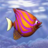 Feeding Frenzy(喂鱼狂潮)手游下载_Feeding Frenzy(喂鱼狂潮)最新版下载
