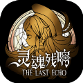 灵魂残响安卓版下载_灵魂残响正版手机版