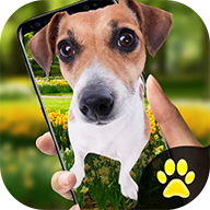 iDog - 狗在屏幕上APP安