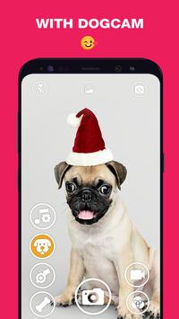 DogCam有小狗的相机免费版app下载_DogCam有小狗的相机APP下载安装