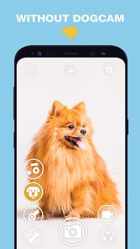 DogCam有小狗的相机免费版app下载_DogCam有小狗的相机APP下载安装