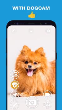 DogCam有小狗的相机免费版app下载_DogCam有小狗的相机APP下载安装