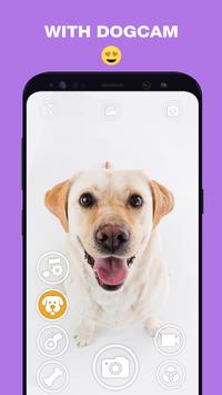 DogCam有小狗的相机免费版app下载_DogCam有小狗的相机APP下载安装