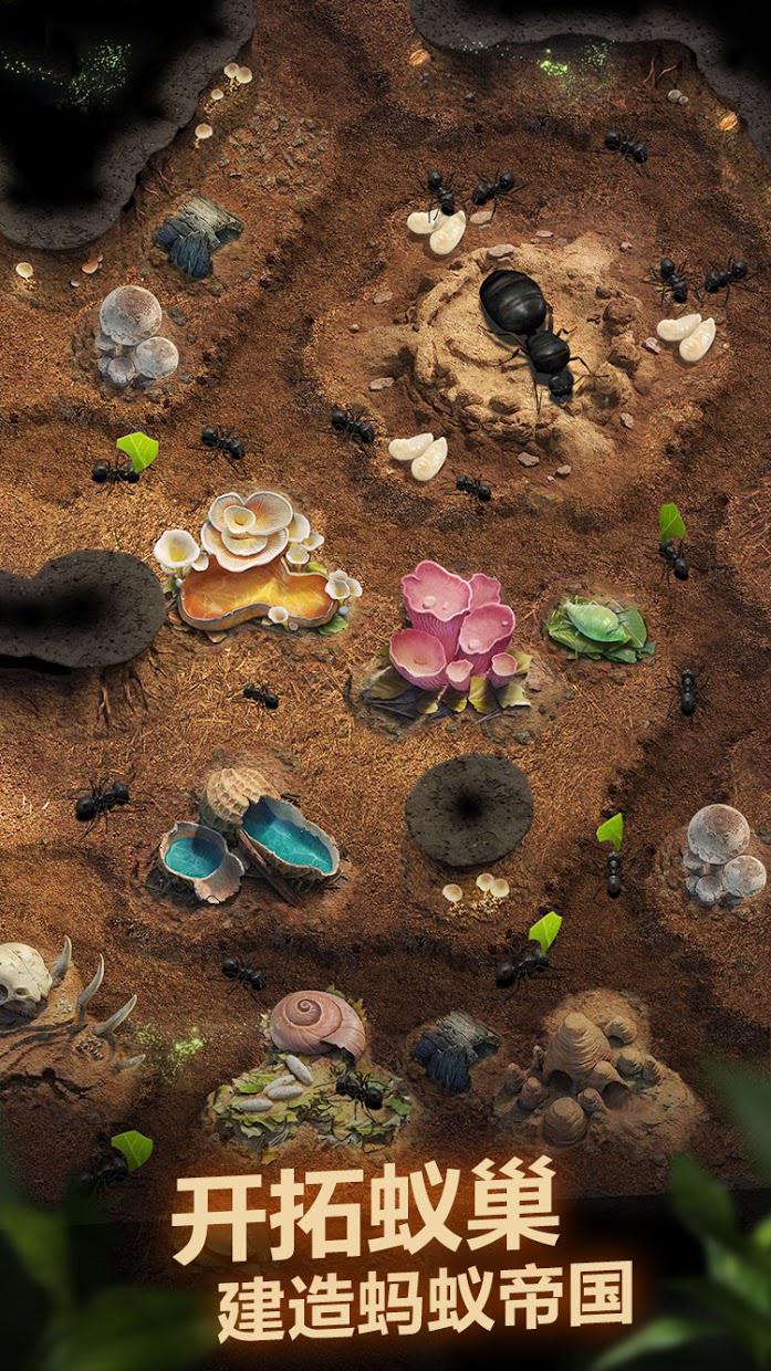 Planet Ant(蚂蚁星球)2025最新版下载_Planet Ant(蚂蚁星球)免费2025新版