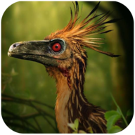 Troodon Simulator(特罗顿模拟器)app最新官方版_Troodon Simulator(特罗顿模拟器)最新版2025下载