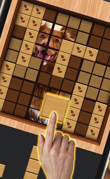 16329919813153974.png