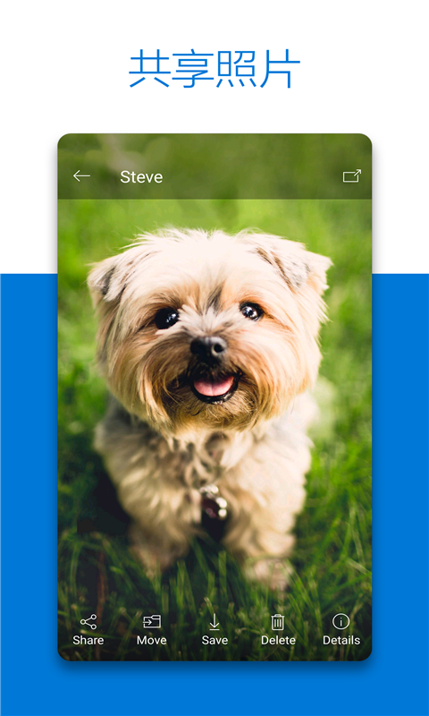 微软OneDrive正版手机版_微软OneDrive安卓App下载