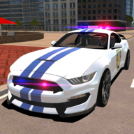 R8 Police Car Driving(R8警察模拟器手机汉化版)下载最新版本2025_R8 Police Car Driving(R8警察模拟器手机汉化版)最新版本下载安装