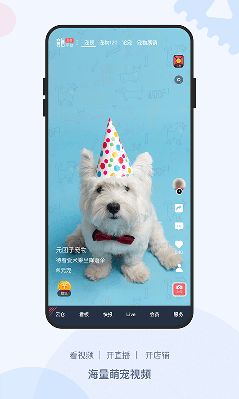 龙平台影视全新2025版_龙平台影视官方版