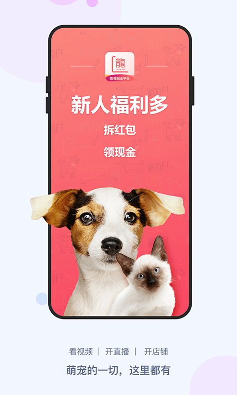 龙平台影视全新2025版_龙平台影视官方版