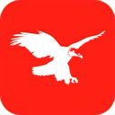 战鹰官方正版免费_战鹰