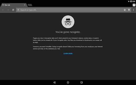 Chrome  Dev最新版下载