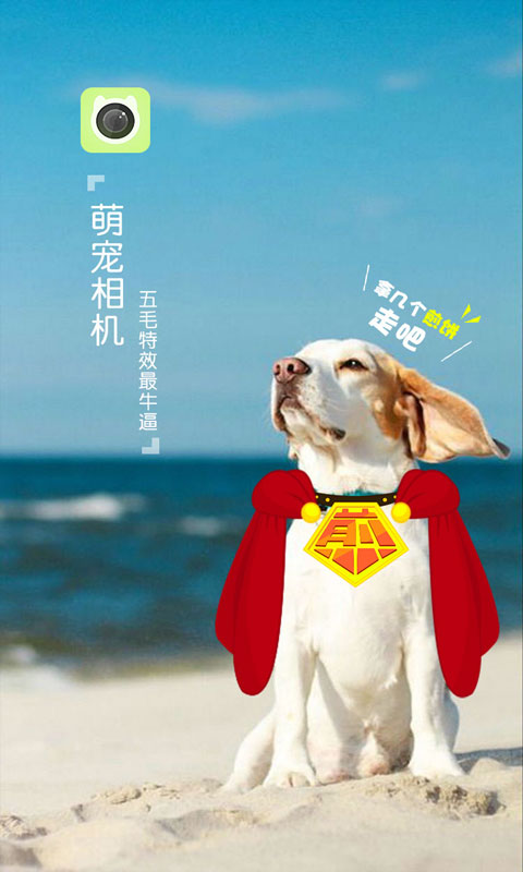 萌宠相机安卓版下载安装_萌宠相机下载免费2025新版