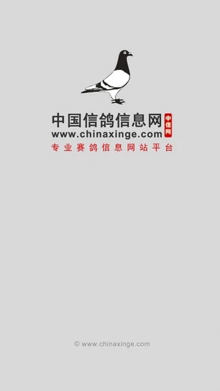 中国信鸽信息网新版手机端_中国信鸽信息网下载手机版