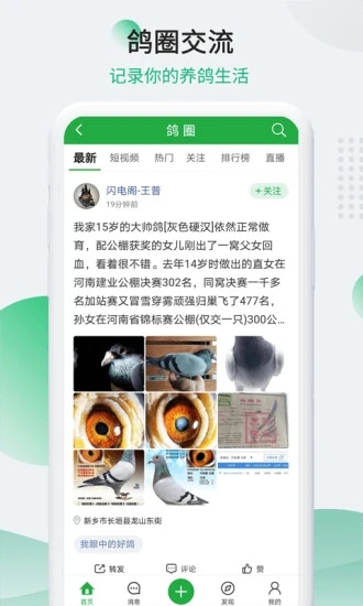 中国信鸽信息网新版手机端_中国信鸽信息网下载手机版