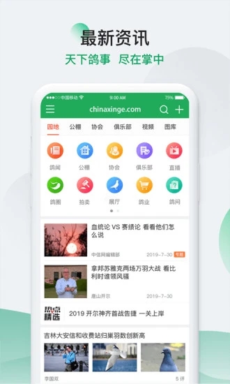 中国信鸽信息网新版手机端_中国信鸽信息网下载手机版