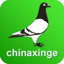 中国信鸽信息网新版手机