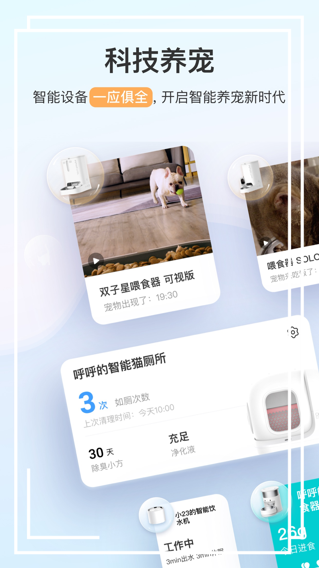 小佩宠物纯净版下载_小佩宠物安卓版