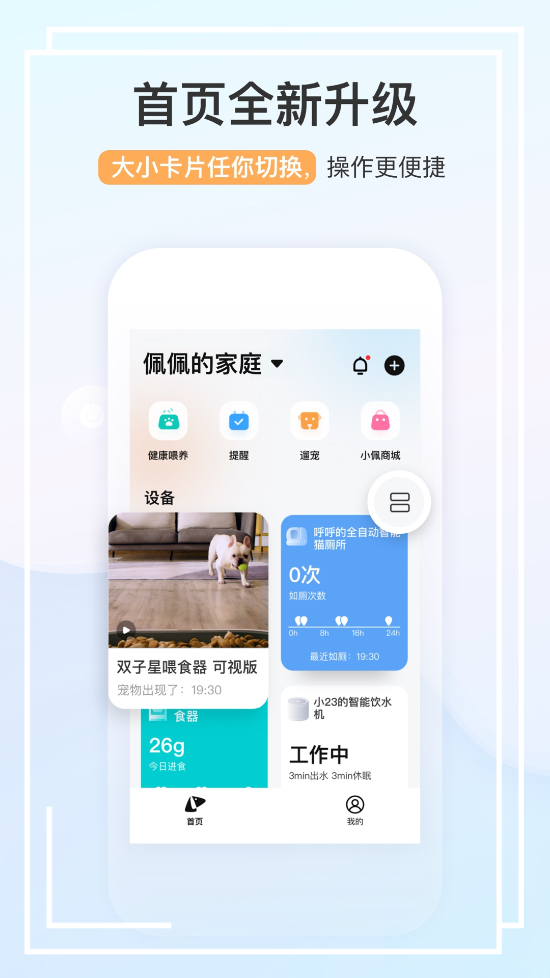 小佩宠物纯净版下载_小佩宠物安卓版