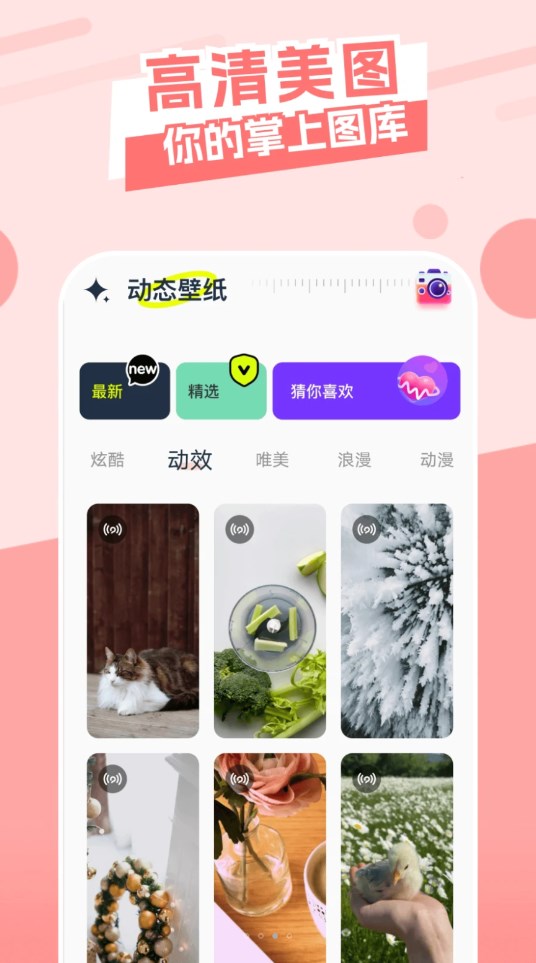 主题库精灵新版手机端_主题库精灵最新版本