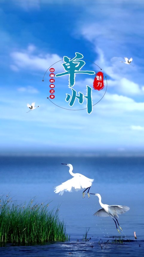 魅力单州app最新官方版_魅力单州安卓版下载安装