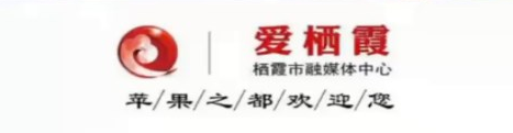 爱栖霞app
