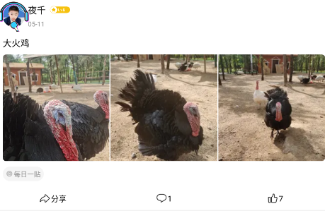 三色定远