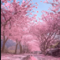 悟心畅看TV全新2025版_