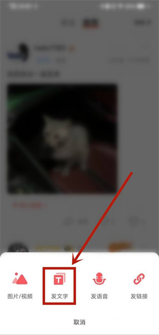 nico交友软件